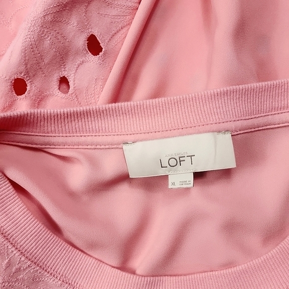 NWOT LOFT Pink Eyelet Sweatshirt - Picture 12 of 13